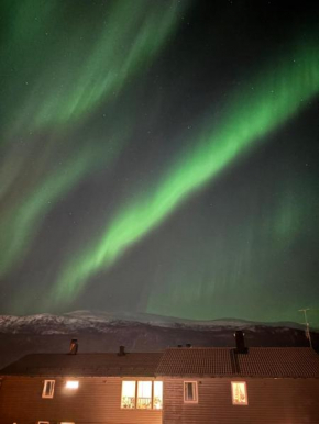 Tromsø Winter Wonderland